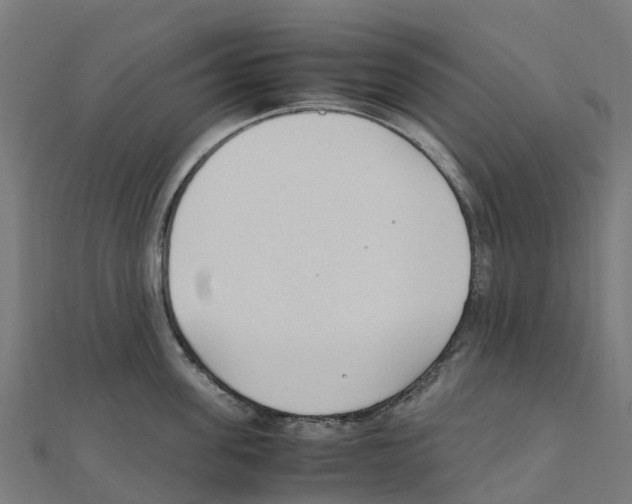 X0000111250955200907301324