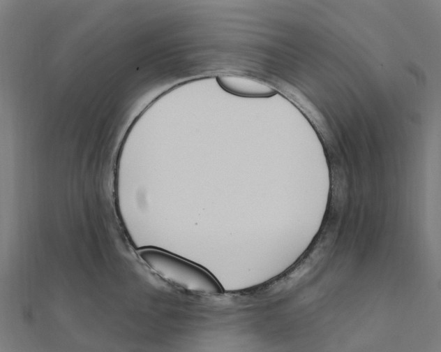 X0000111250956200907301324