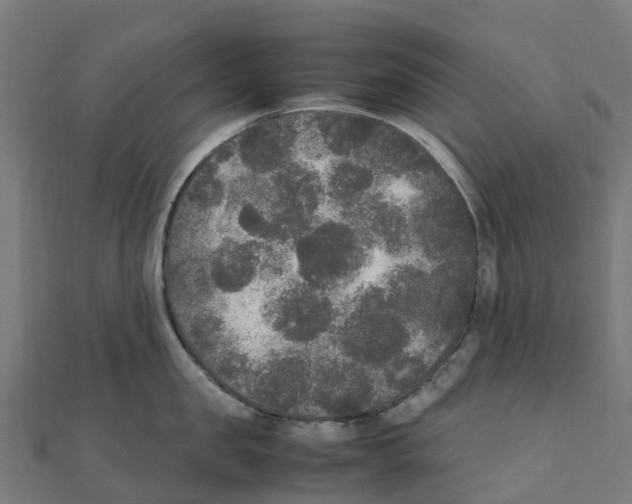 X0000111250957200907301324