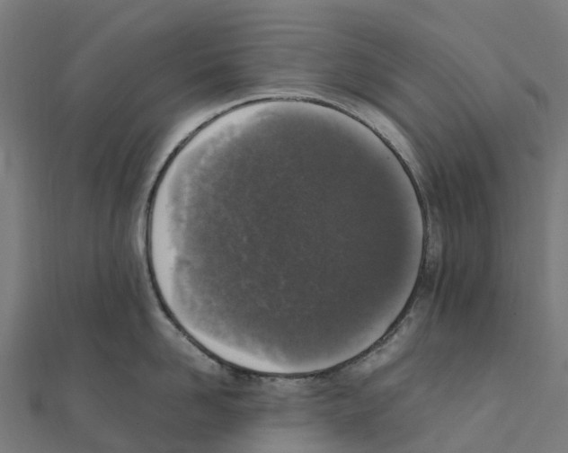 X0000111250958200907301324