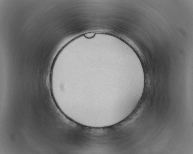 X0000111250959200907301324