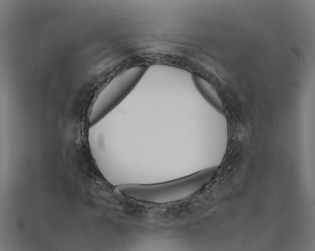 X0000111250965200907301323