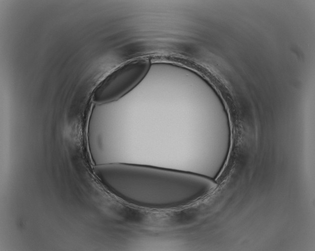 X0000111250969200907301323