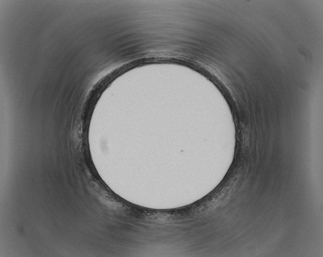 X0000111250971200907301323