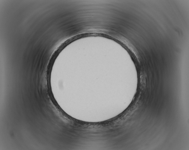 X0000111250972200907301323