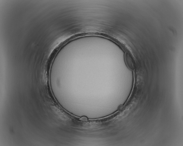 X0000111250973200907301323