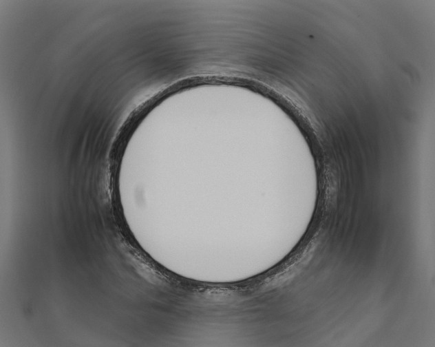 X0000111250974200907301323