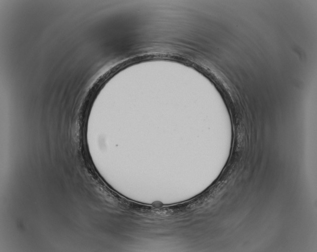 X0000111250975200907301323