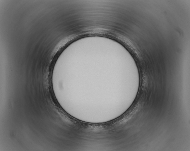 X0000111250978200907301323