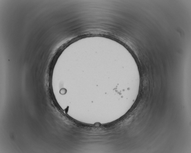 X0000111250979200907301323