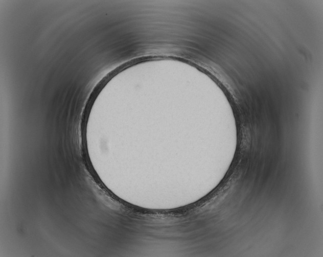 X0000111250980200907301323