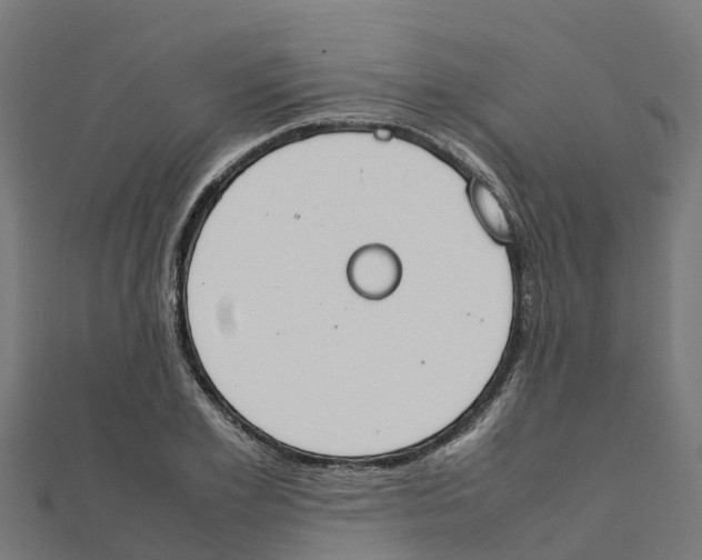 X0000111250981200907301323