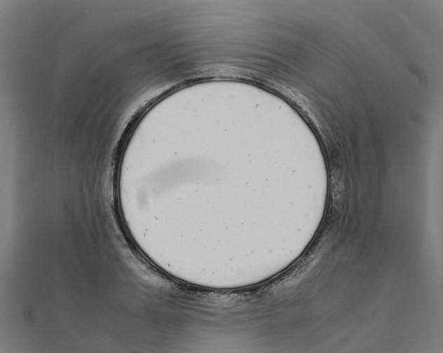 X0000111250987200907301323