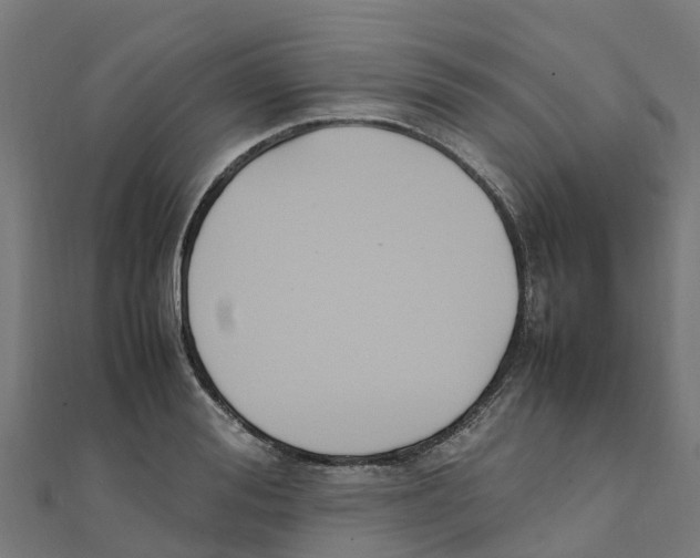 X0000111250988200907301323