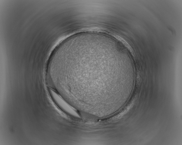 X0000111250989200907301323