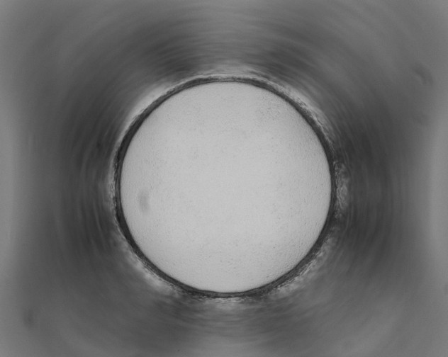 X0000111250990200907301323