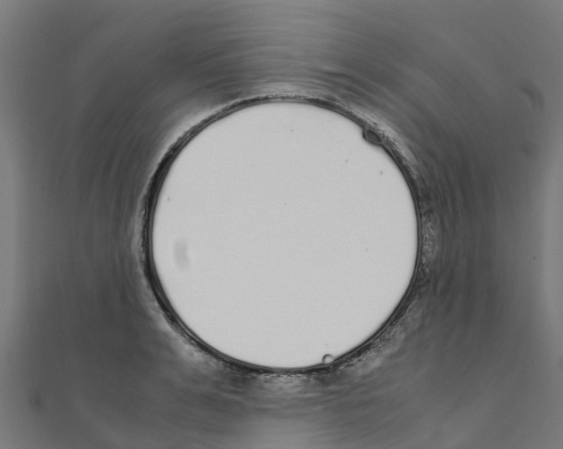 X0000111250991200907301323