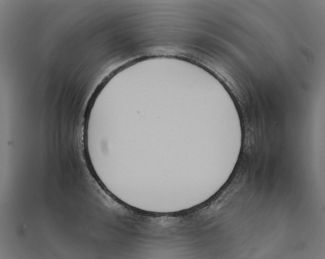 X0000111250992200907301323