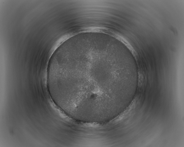 X0000111250994200907301323