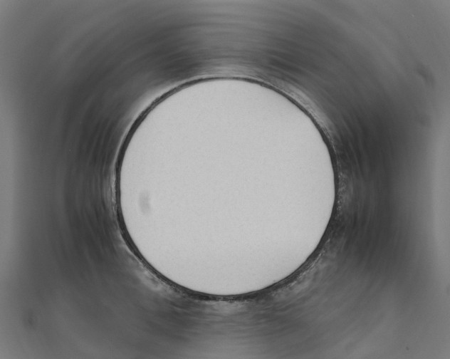 X0000111250996200907301323