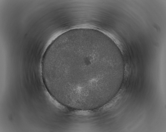 X0000111250998200907301323