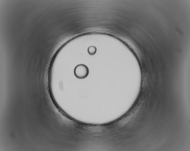 X0000111250999200907301323