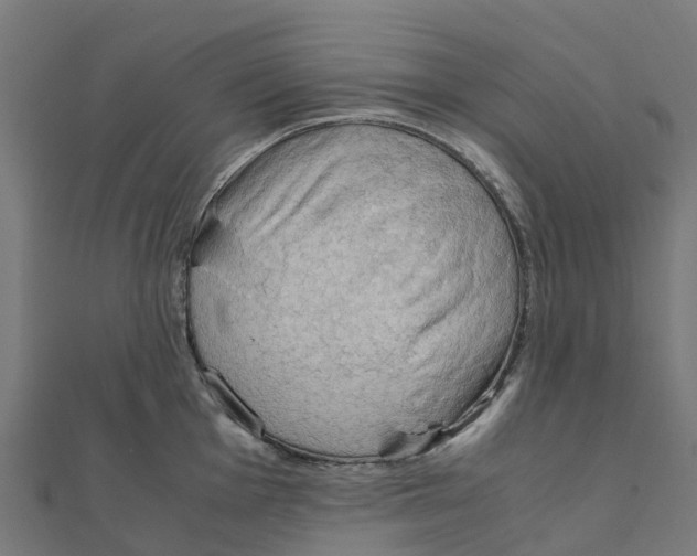 X0000111251001200907301323