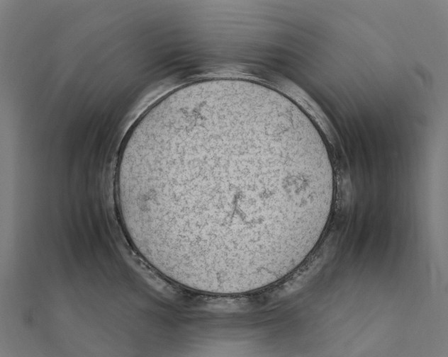 X0000111251002200907301323