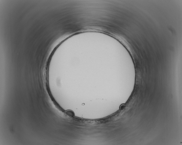 X0000111251003200907301323