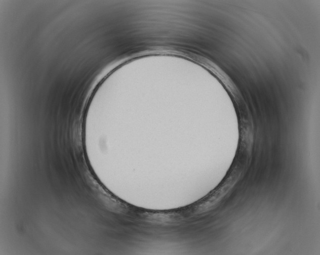 X0000111251004200907301323