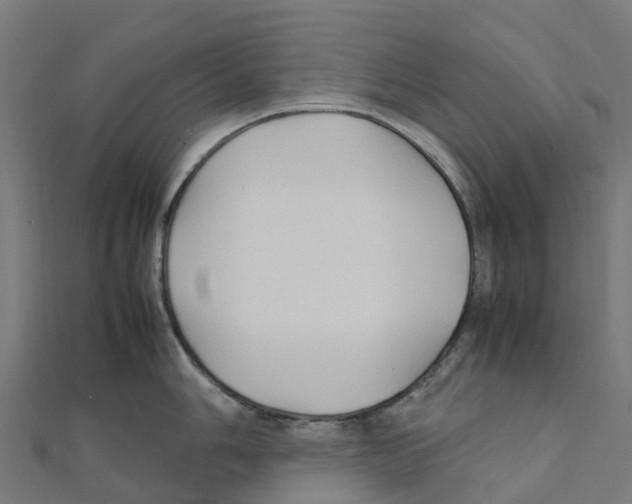 X0000111251006200907301323