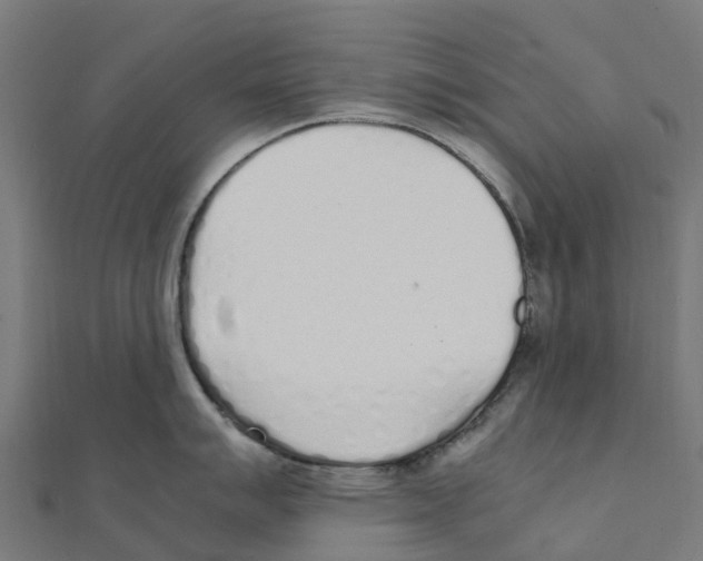 X0000111251007200907301323