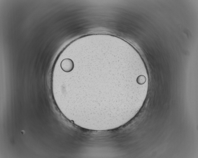 X0000111251008200907301323