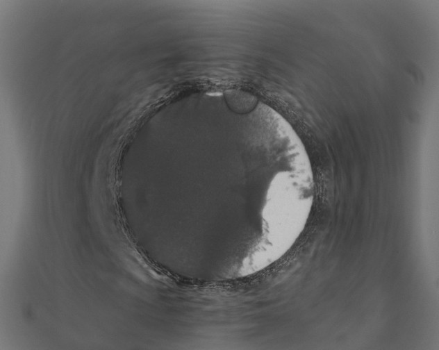 X0000111251009200907301322