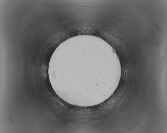 X0000111251010200907301322