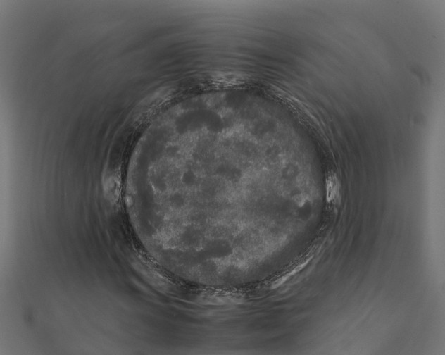 X0000111251011200907301322