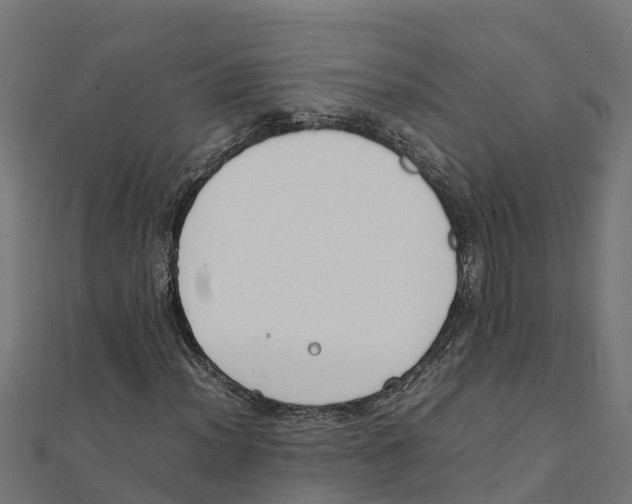 X0000111251012200907301322