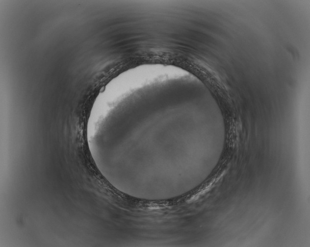 X0000111251013200907301322