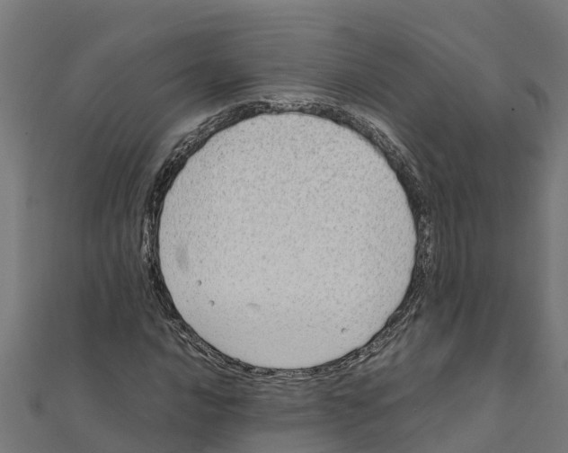 X0000111251016200907301322