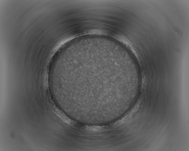 X0000111251019200907301322