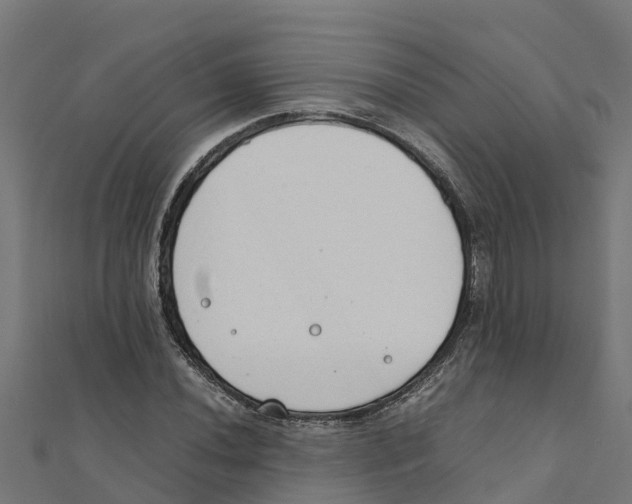 X0000111251020200907301322