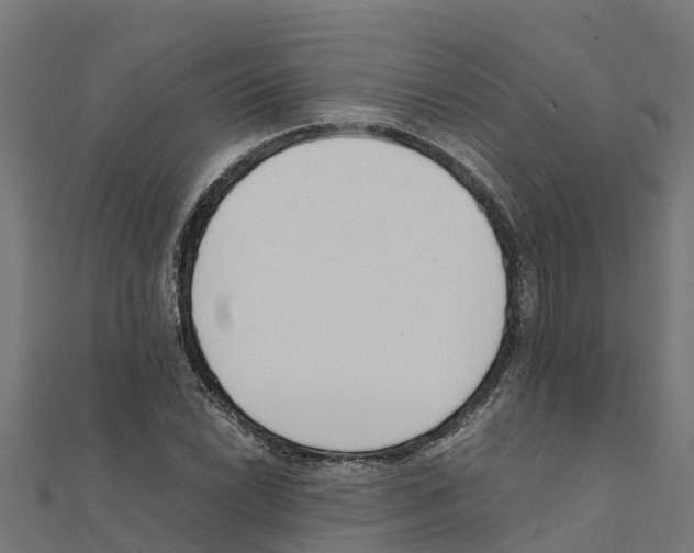 X0000111251022200907301322