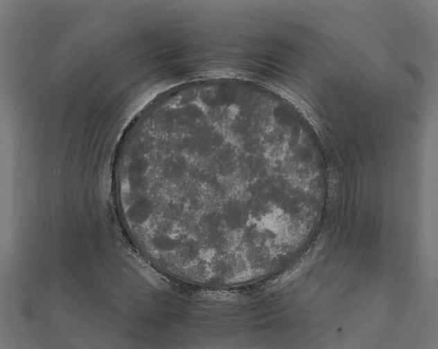 X0000111251023200907301322