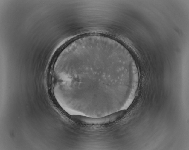 X0000111251024200907301322