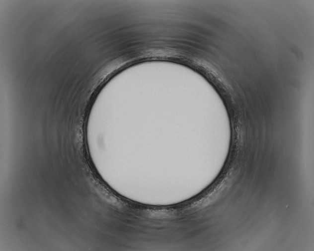 X0000111251025200907301322