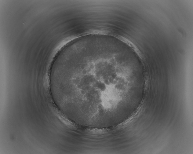 X0000111251027200907301322