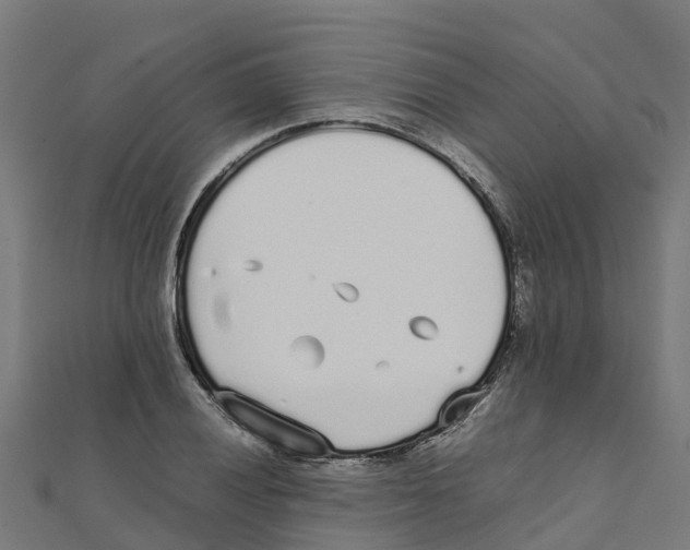 X0000111251028200907301323