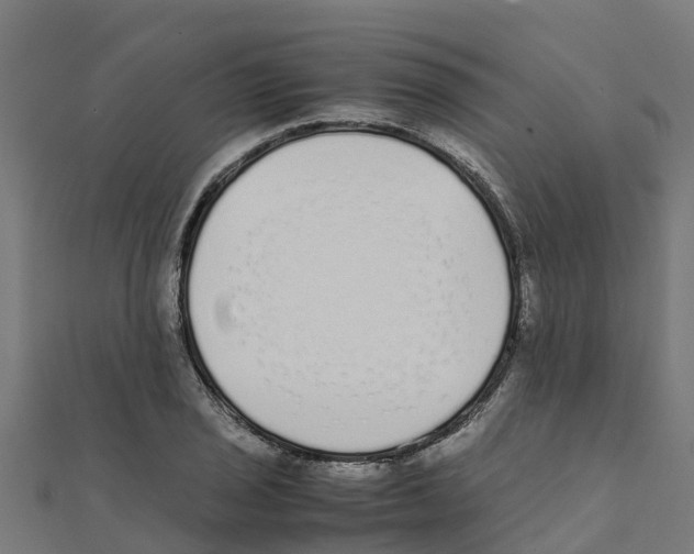 X0000111251029200907301323