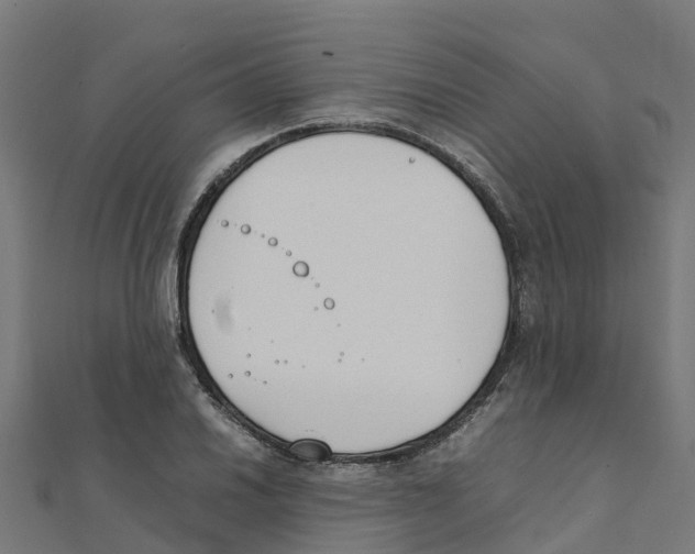 X0000111251030200907301323