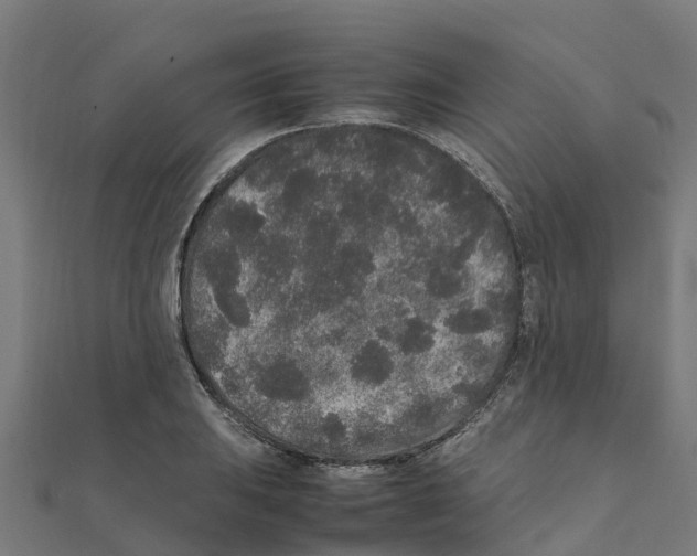 X0000111251031200907301323